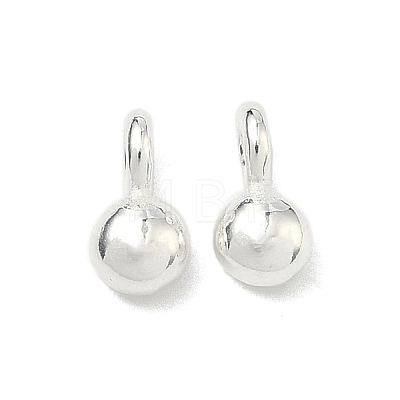 925 Sterling Silver Charms STER-H119-05B-S-1