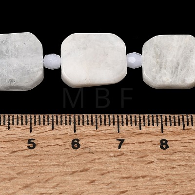 Natural Rainbow Moonstone Beads Strands G-L653-D01-01-1