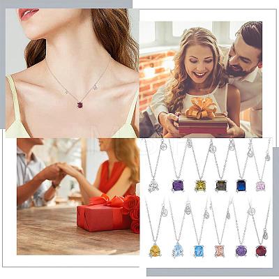 925 Sterling Silver Zircon Pendant Necklace 12 Constellation Pendant Necklace Jewelry Anniversary Birthday Gifts for Women Men JN1088B-1