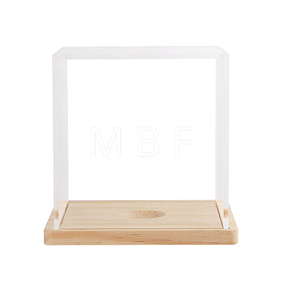 Transparent Acrylic Baseball Display Boxes ODIS-WH0030-58-1