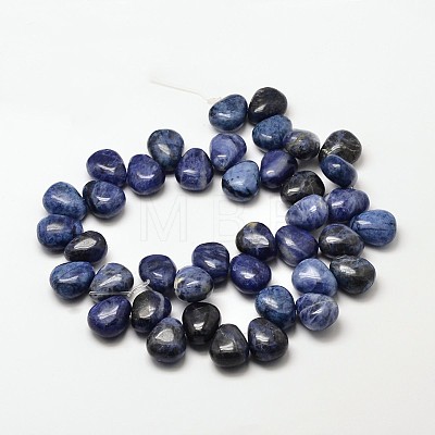 Natural Sodalite Teardrop Beads G-P094-07-1