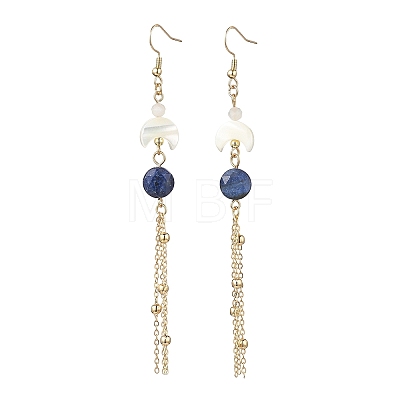 Natural Gemstone Dangle Earrings EJEW-JE06813-1