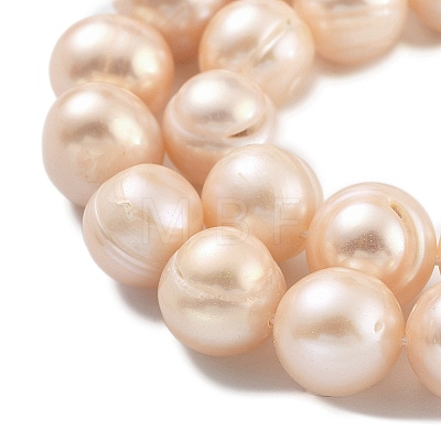 Natural Cultured Freshwater Pearl Beads Strands PEAR-C003-21D-1