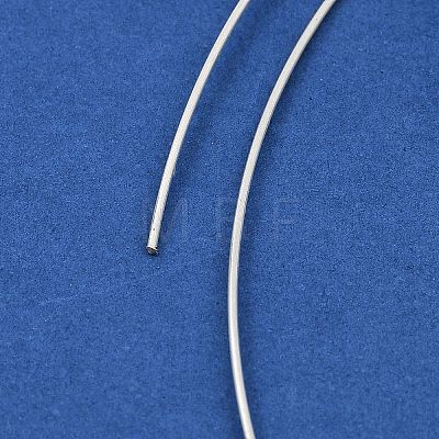 925 Sterling Silver Wire FIND-Q117-01G-S-1