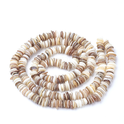 Natural Shell Beads Strands SSHEL-Q298-13-1