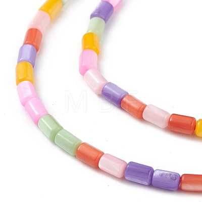 Natural Freshwater Shell Dyed Beads Strands SHEL-M018-12-13-1