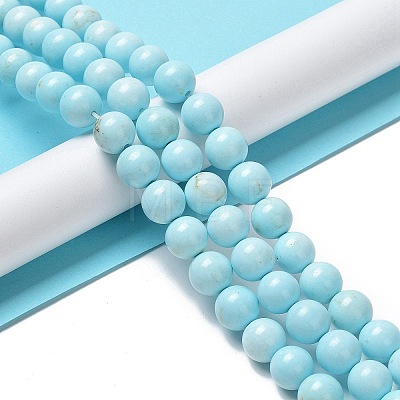 Natural Howlite Beads Strands G-E604-B02-C-1