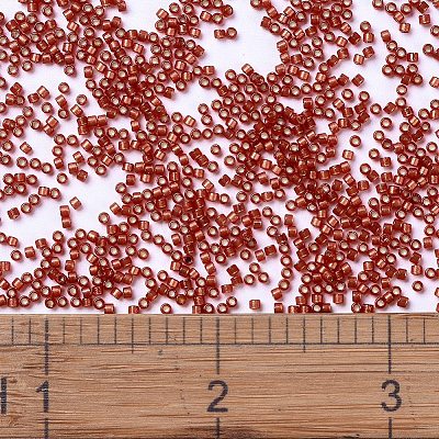 MIYUKI Delica Beads X-SEED-J020-DB2173-1