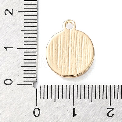 Zinc Alloy Enamel Pendants ENAM-Z011-01G-A-1