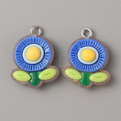 Translucent Resin Pendants RESI-TAC0019-08E-1