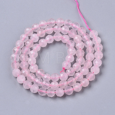 Natural Rose Quartz Beads Strands G-R465-10-1
