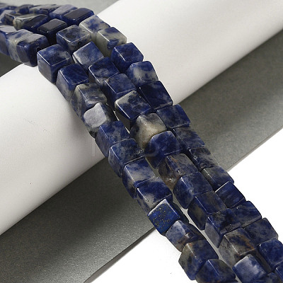 Natural Sodalite Beads Strands G-B078-K01-01-1