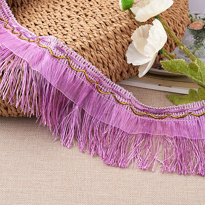 Polyester Tassel Fringe Trimming OCOR-TAC0008-21C-1