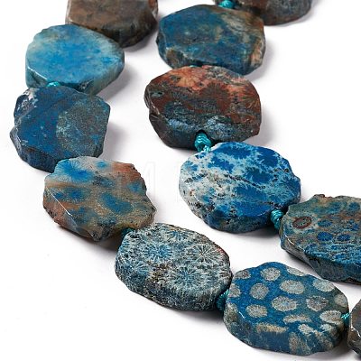 Natural Fossil Coral Beads Strands G-F719-25-1