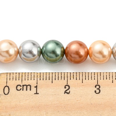 Electroplated Natural Shell Beads Strands SHEL-F008-03B-02-1