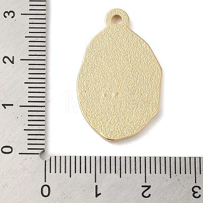 Zinc Alloy Enamel Pendants ENAM-Z013-01C-05-1