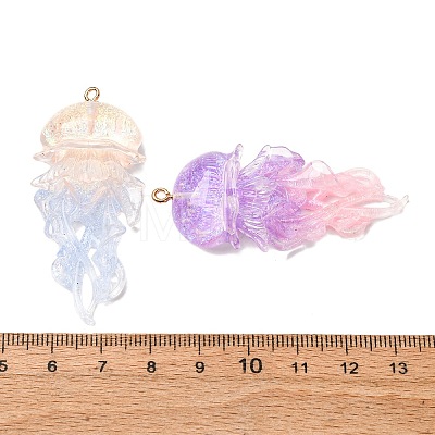 Transparent Resin Pendants RESI-H039-04P-1