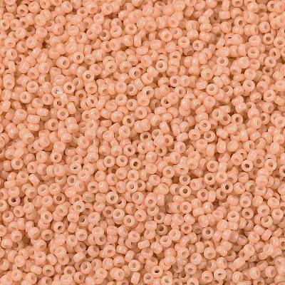 MIYUKI Round Rocailles Beads X-SEED-G009-RR4461-1