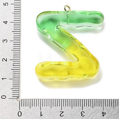 Resin Pendant FIND-Q107-01Z-02-1