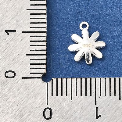 925 Sterling Silver Charms STER-F059-06S-1