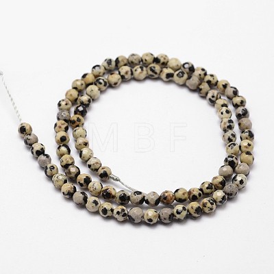 Natural Dalmatian Jasper Beads Strands X-G-D840-49-4mm-1