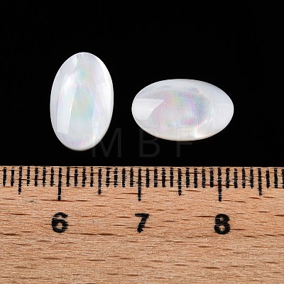 Natural White Shell Cabochons SSHEL-T017-06-1