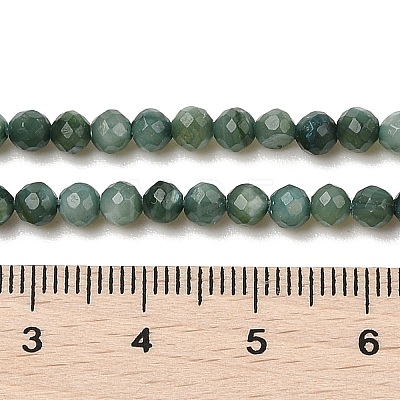 Natural Freshwater Shell Dyed Beads Strands SHEL-R100-12A-05-1