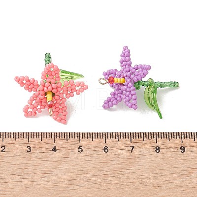 Glass Seed Beaded Pendants PALLOY-MZ01283-1