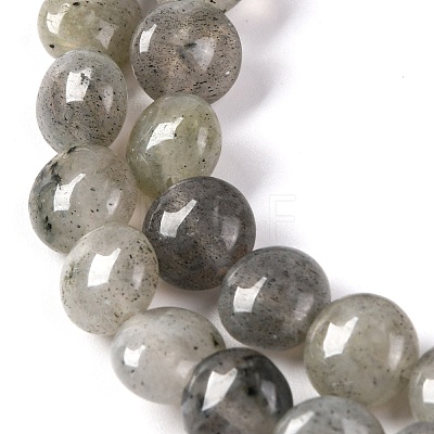 Natural Labradorite Beads Strands G-T047-A18-01-1