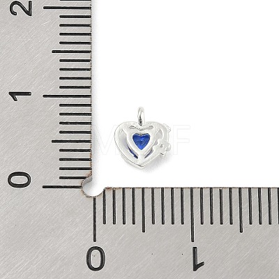 925 Sterling Silver Micro Pave Cubic Zirconia Pendants STER-Q002-02F-1