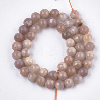 Natural Sunstone Beads Strands G-S333-10mm-038-1