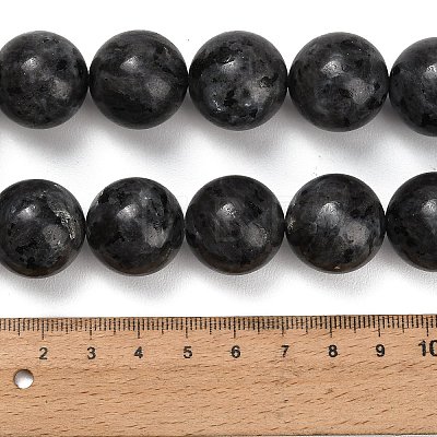 Natural Larvikite Beads Strands GSR20mmC128-1
