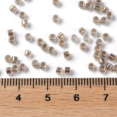 Glass Seed Beads SEED-S042-13A-16-1