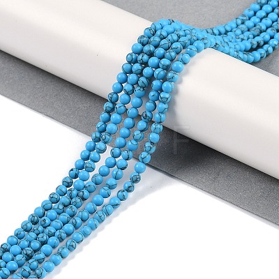 Synthetic Turquoise Beads Strands G-U004-02J-1