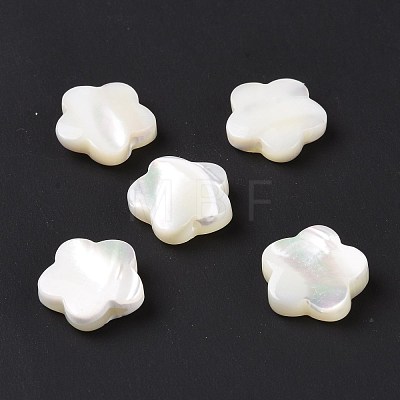 Natural Trochid Shell/Trochus Shell Beads X-SSHEL-N036-047-1