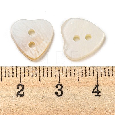 Freshwater Shell Button BUTT-Z001-03-1