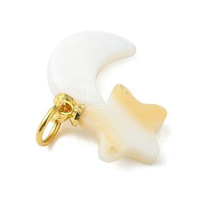 Natural Freshwater Shell Pendants PALLOY-JF05399-1