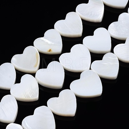 Natural Freshwater Shell Beads Strands X-SHEL-N027-21-1