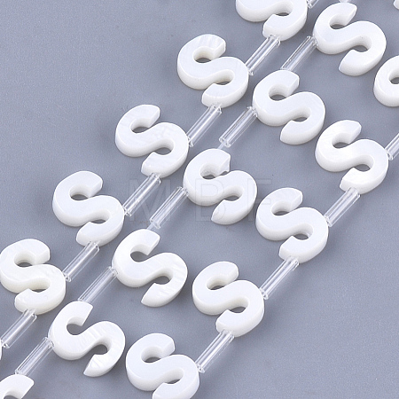 Natural Freshwater Shell Beads SHEL-T012-59S-1