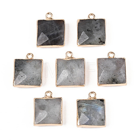 Natural Labradorite Faceted Pendants G-T139-95A-1