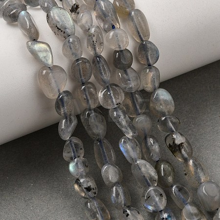 Natural Labradorite Nuggets Beads Strands G-J335-40-1