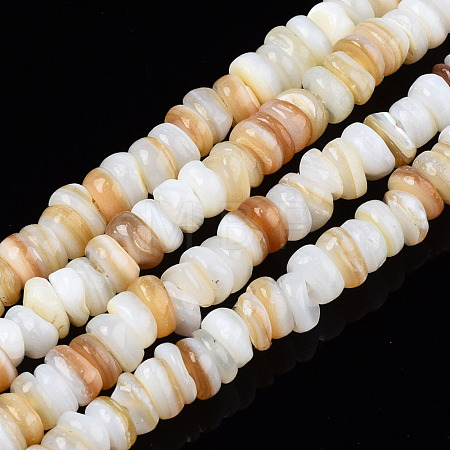 Natural Freshwater Shell Beads Strands SHEL-S278-067G-1
