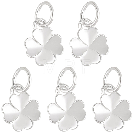 5Pcs 925 Sterling Silver Charms STER-BBC0009-44D-1