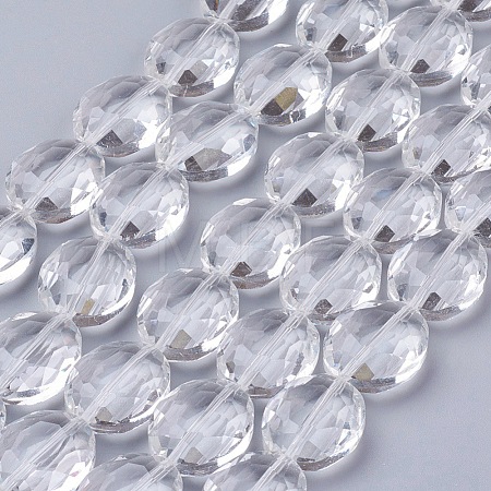 Glass Bead Strands GLAA-S003-20x11mm-14-1