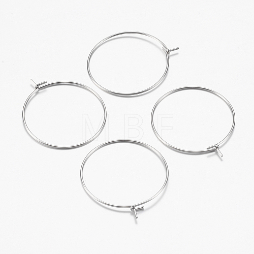 316 Surgical Stainless Steel Hoop Earrings Findings STAS-I097-050C-1