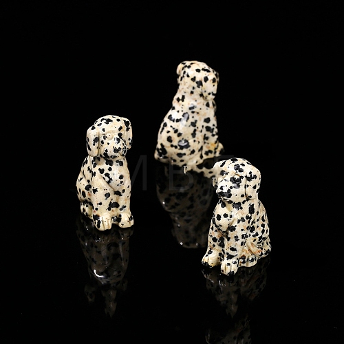 Natural Dalmatian Jasper Display Decorations PW-WG57B80-48-1