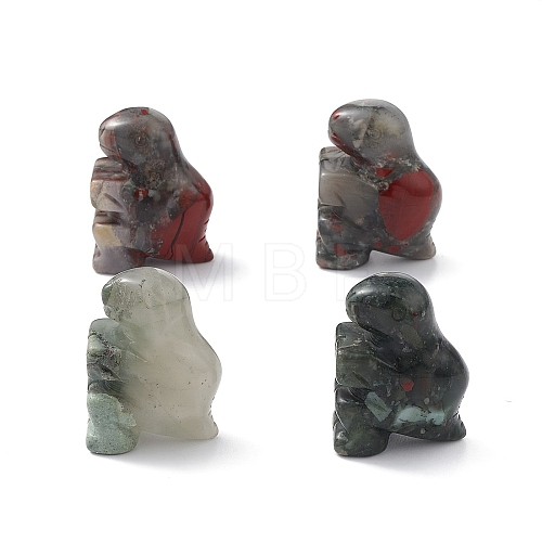 Natural African Bloodstone Display Decoration G-C022-02G-1