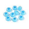 Resin European Beads RESI-Q236-01A-05-1