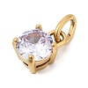 Birthdaystone Theme June 304 Stainless Steel Charms STAS-B128-60G-06-2
