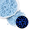 FGB Grade A Frosted Glass Seed Beads SEED-Q040-04A-01-1